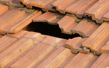 roof repair Dunino, Fife